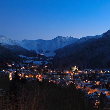 Petit Duplex De Charme Sous Les Toits Du Mont-Dore Экстерьер фото